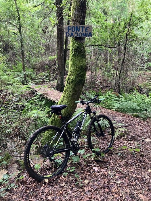 Bicicleta BTT Trek XCaliber 9 29” M