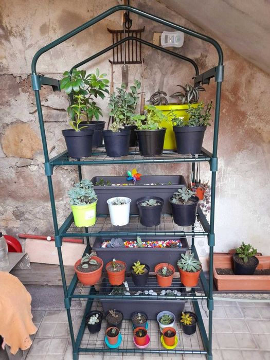 Kwietnik stojak na rośliny kwiaty uprawę szklarnia balkon