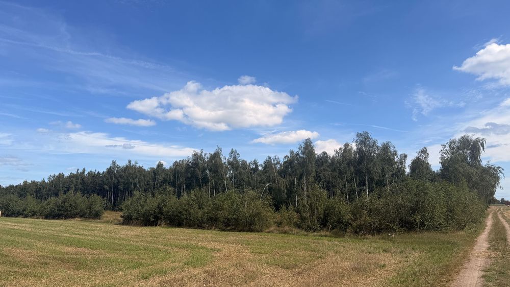 Działki z prawem zabudowy wśród łąk, pól i lasów – Marcewek, gmina Słupca