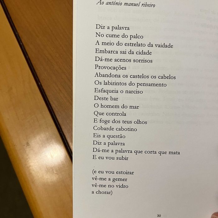 A. Pedro Ribeiro - Saloon (envio grátis)