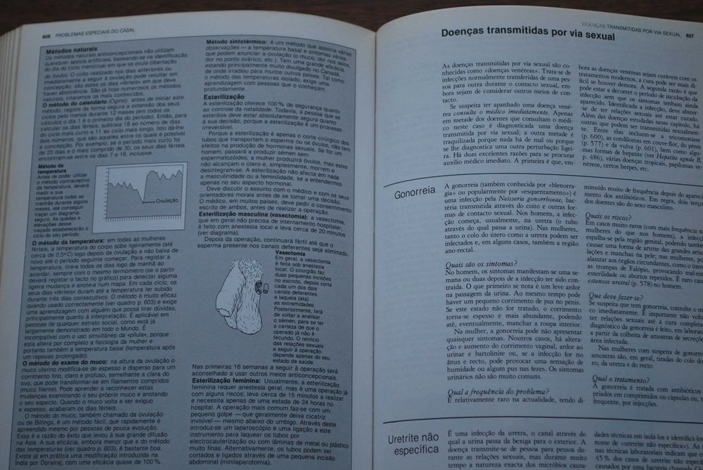 Saúde e Bem Estar (O Grande Livro da Família)