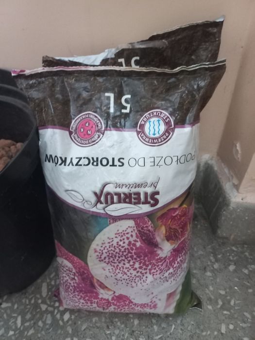 Storczyki 2 szt.z doniczksmi +ziemią