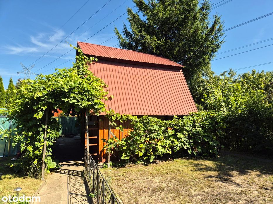 Działka rekreacyjna, ROD "Poziomka" z drewnianym domkiem