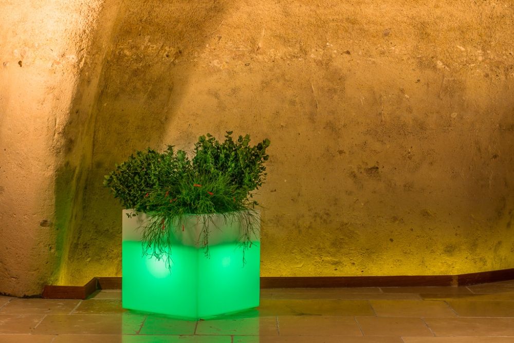 Vasos led decoração