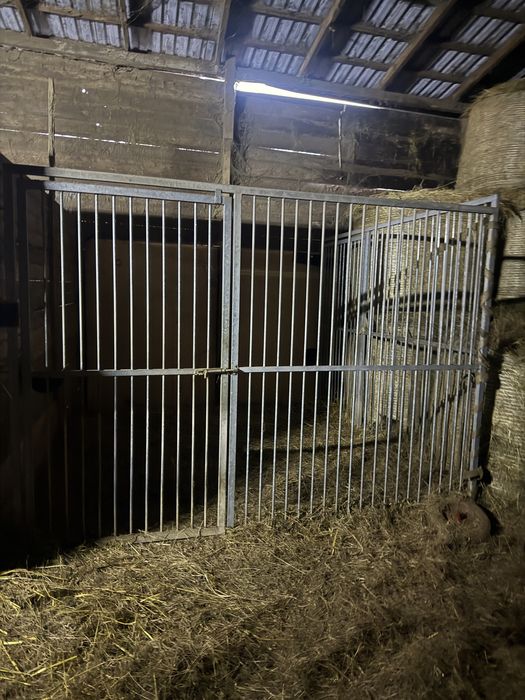 Kojce dla psów duża ilość