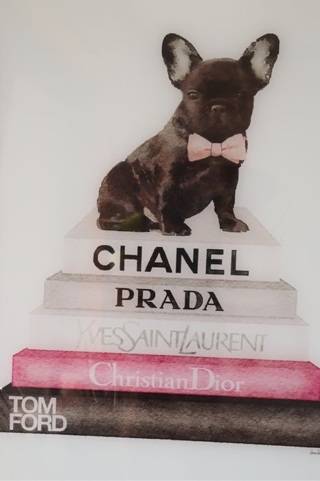 Quadro de vidro Fashion Dog 80X60cm