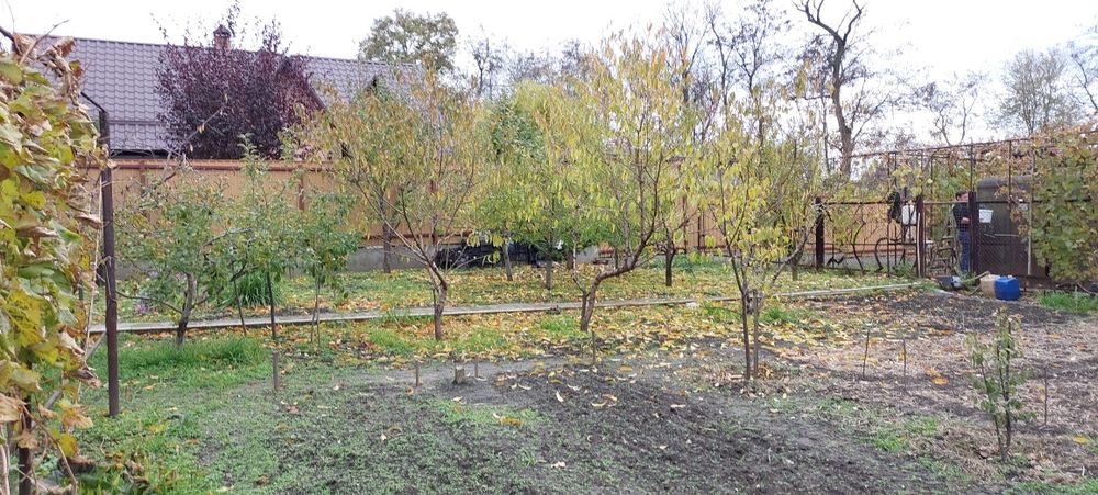 Дача, Соловьиная роща