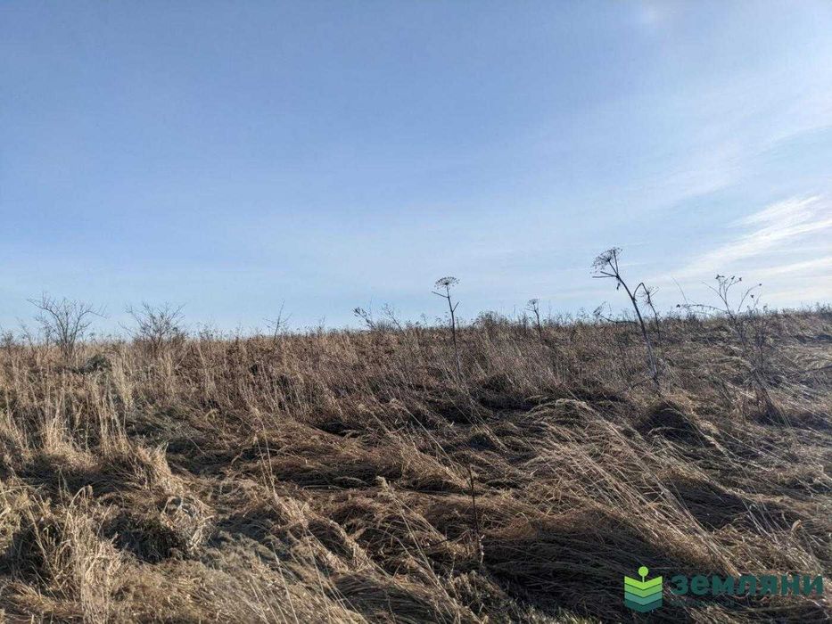 Продається ділянка 10 сот Загвіздя (8)