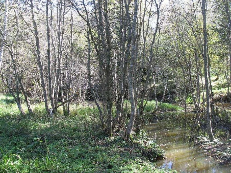 Piękna działka leśna Bieszczady