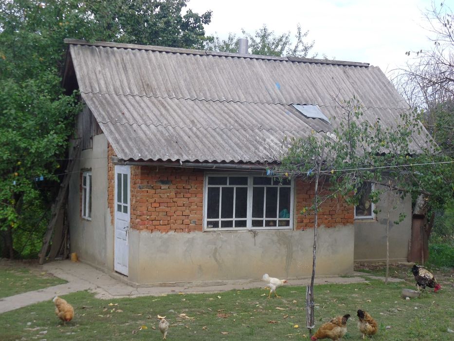 Будинок  Домоволодіння с.Білівці Чортківський р-н