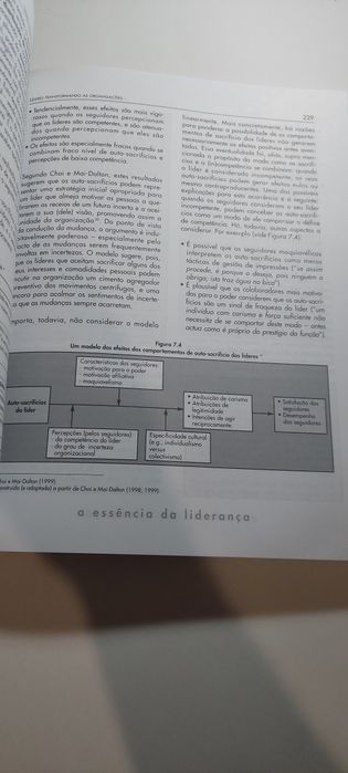A Essência da Liderança, Mudança, Resultados, Integridade (1ª edição)