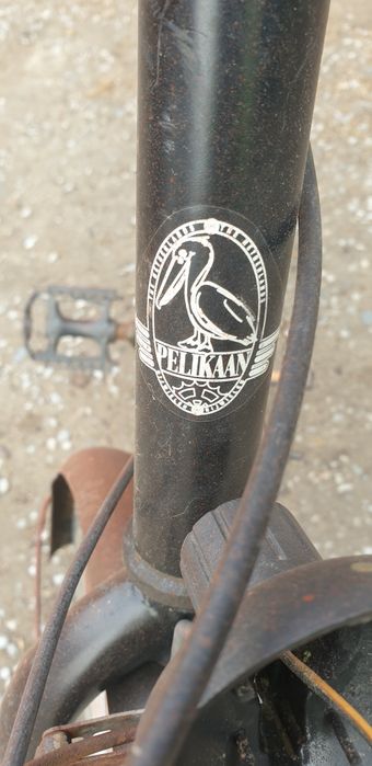 Stary rower pelikaan