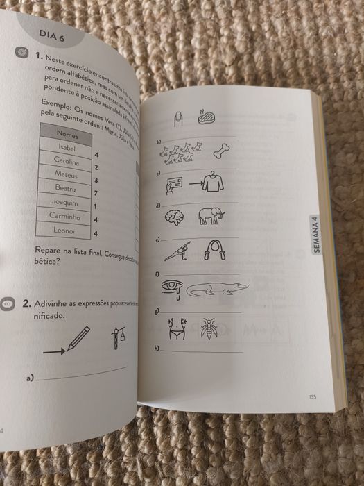 Um cérebro á prova de cansaço, de Sandra Martins