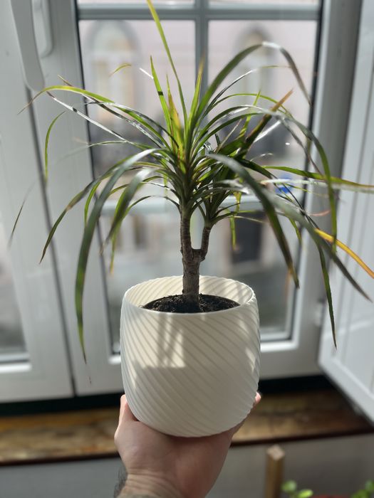 Impressora 3D Bambu Lab P1S + Extras + Garantia Estendida (Como Nova)