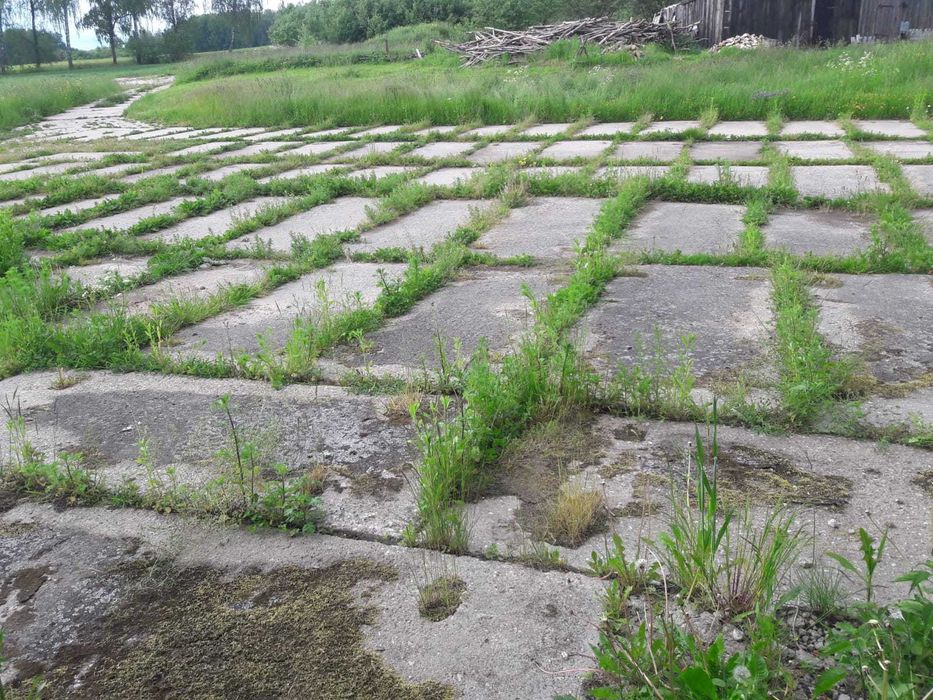 SKUP Płyty drogowe betonowe mury oporowe tetki elki CAŁA POLSKA KUPIĘ