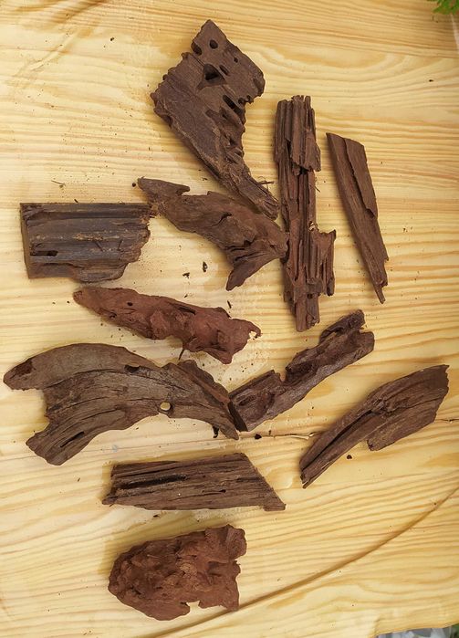 Dziesięć korzeni 10-15 cm do akwarium