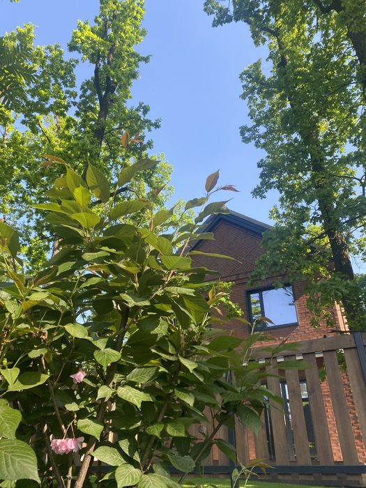 Котедж для тих хто розділяє філософію «LAGOM»