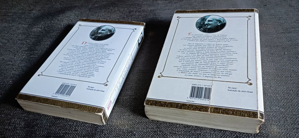 As Duas Torres e A Irmandade do Anel, de Tolkien. Ver descrição