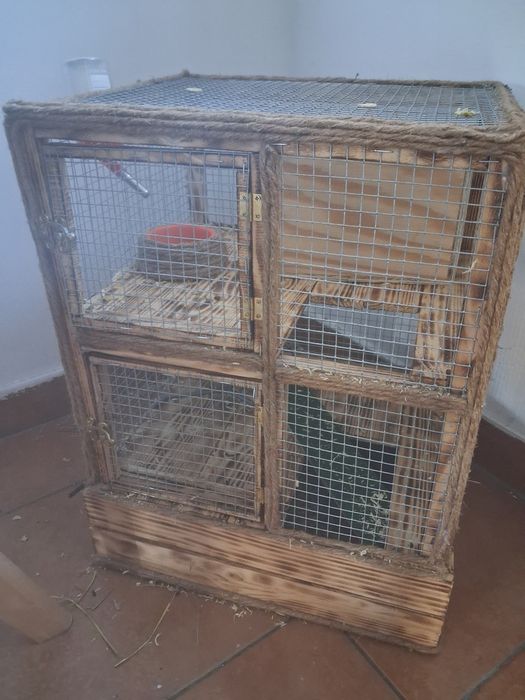 Chomik z klatką piętrowa