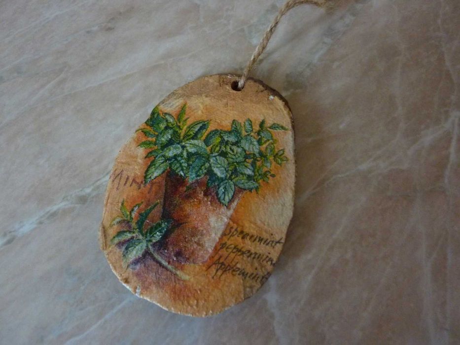 Botaniczny obrazek dwustronny plaster zajączek