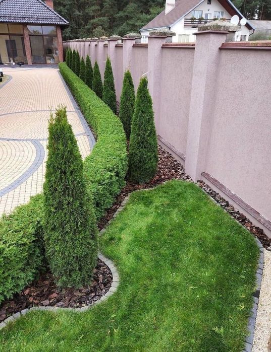 Рулонний газон Озеленення ландшафт укладка