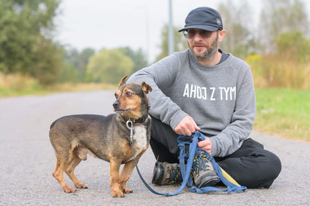 Mały wrażliwy uroczy Minio do adopcji