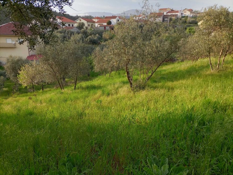 Terreno urbanizável na Rua da Barroca do Bicho - Peso, Covilhã