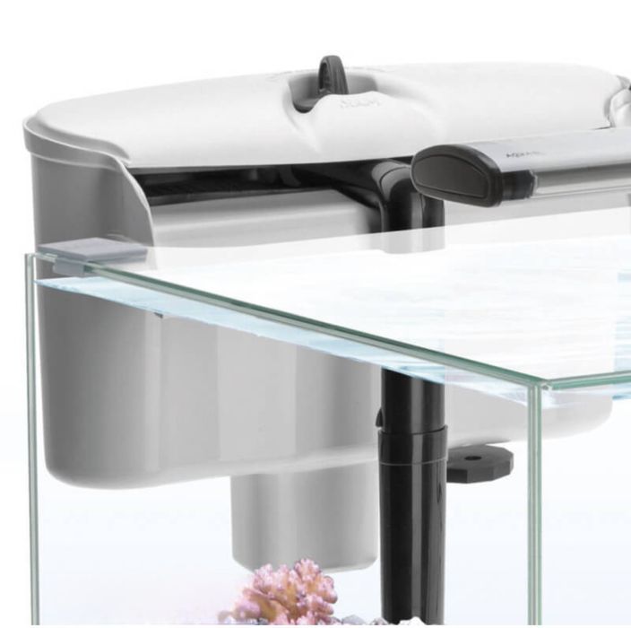 Aquário nano-reef de 49 litros