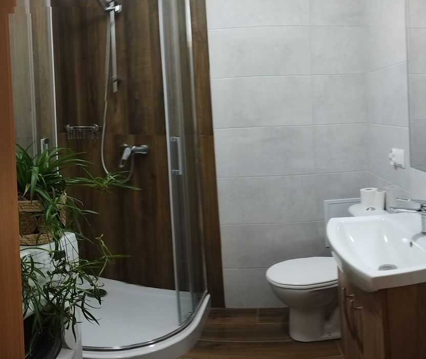Zdjęcie 7