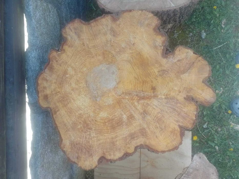 pień na stół olchowy, dębowy