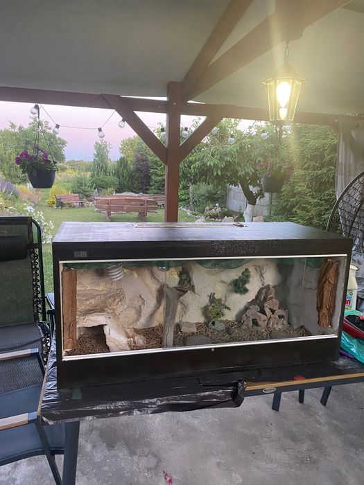 Terrarium dla agamy brodatej lub innego zwierzęcia