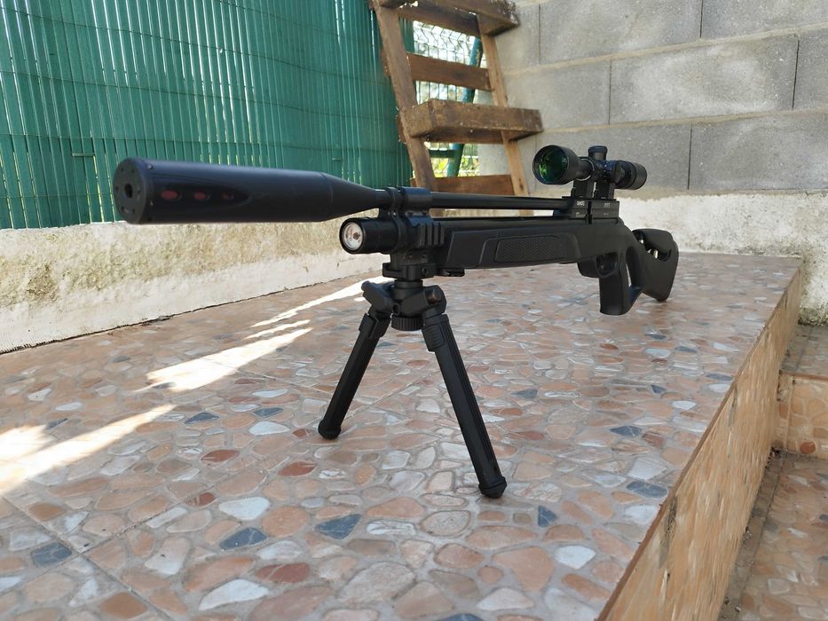 Pcp Gamo coyote black wisper
