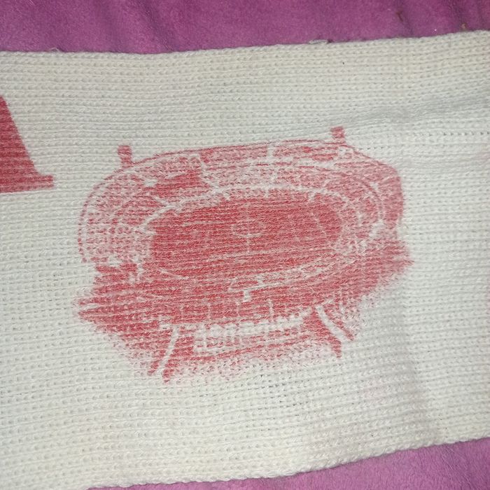 Cachecol de lã do Benfica