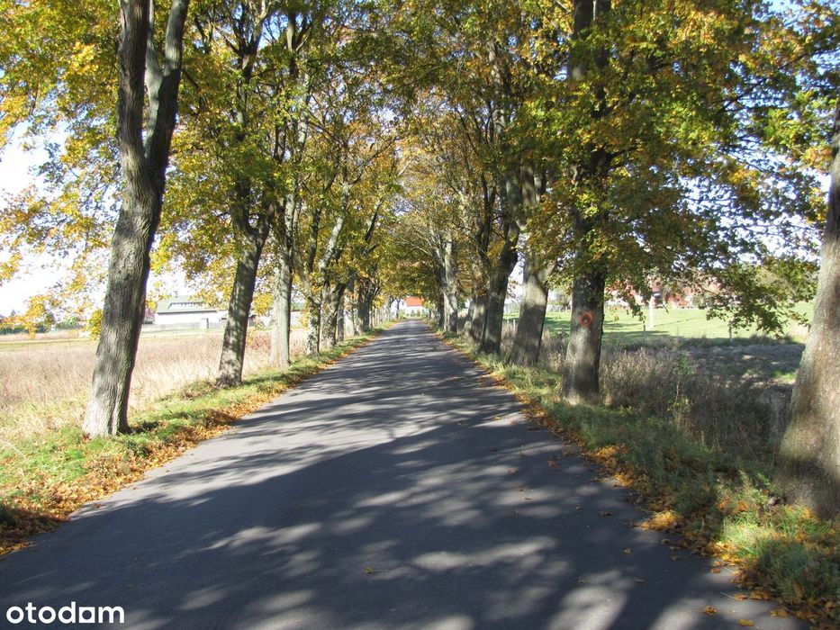Mielno - Dobiesławiec - Podamirowo