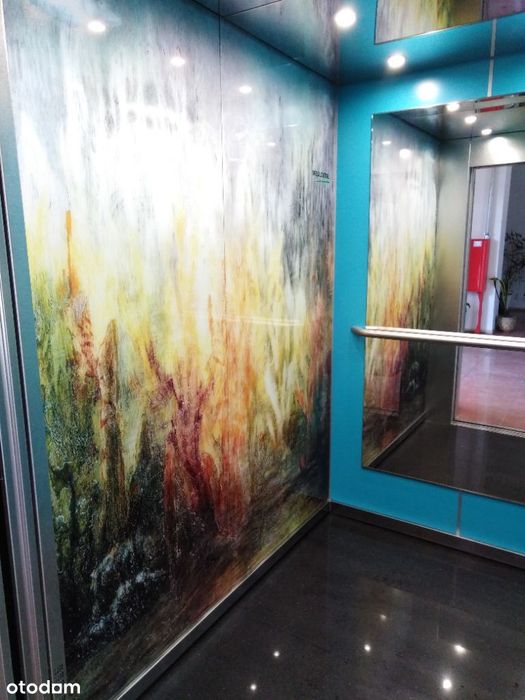 lokal biurowy o powierzchni 50 m2 do wynajęcia !