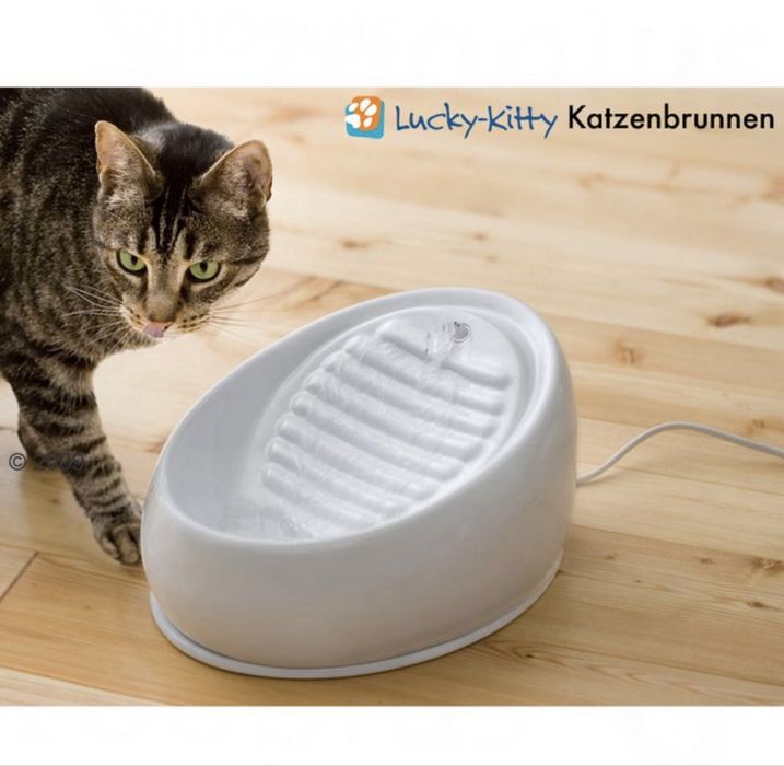 Bebedouro gato LUCKY KITTIE