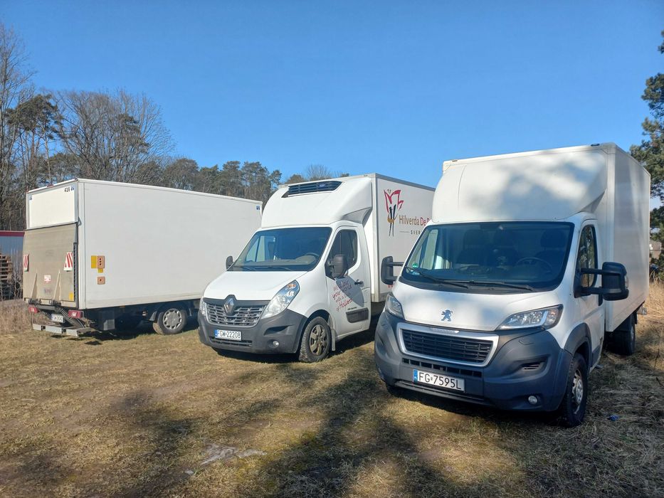 Wynajem, Wynajem długoterminowy bus busa z windą