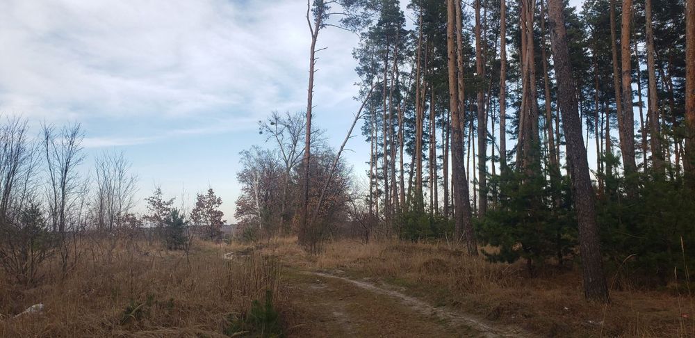 Продажа,обмен 2га с.Марьяновка осг фасад, асфальт