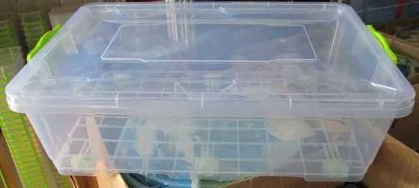 Контейнер-террариум для рептилий