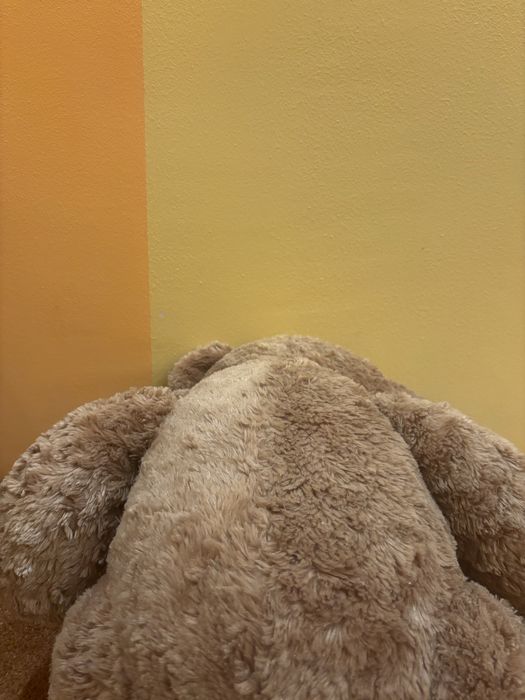 Великий плюшевий ведмедик "Твій найкращий друг" - м'який компаньйон