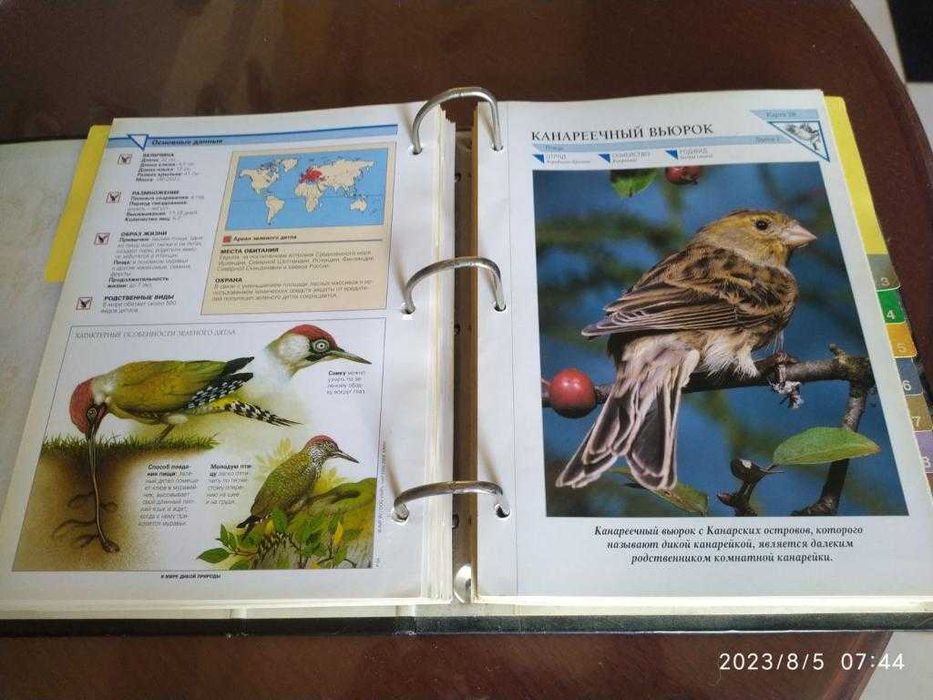 Для школьников. В мире дикой природы. Красочный альбом.