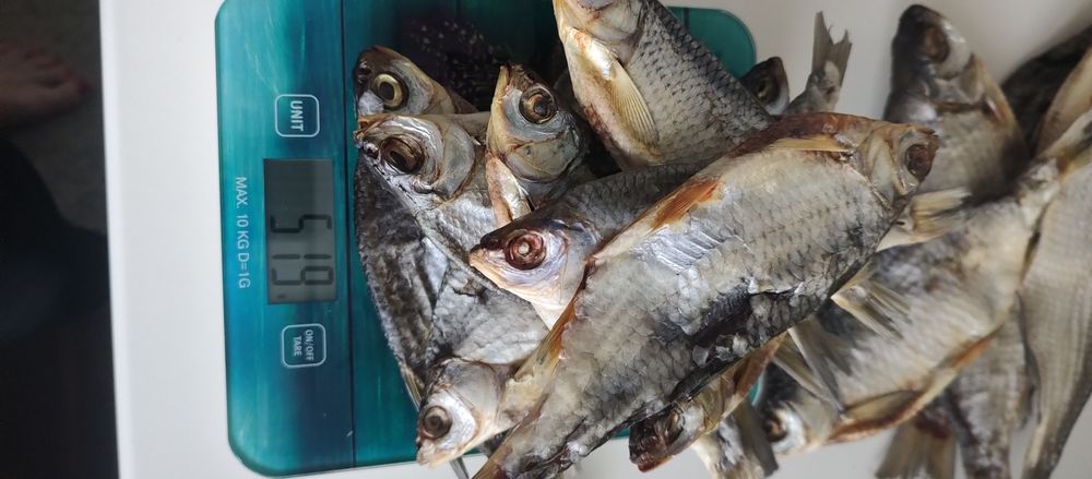 Плотва вяленная,густера