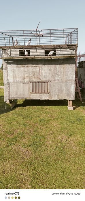 Gołębnik dla hodowcy