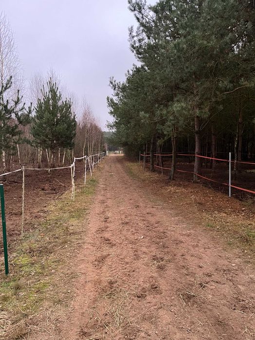 Dębinki (koło Serocka) działka budowlana 3007m2.