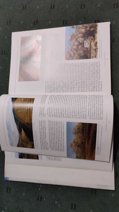 Portugal Rural Da Tradição ao Moderno