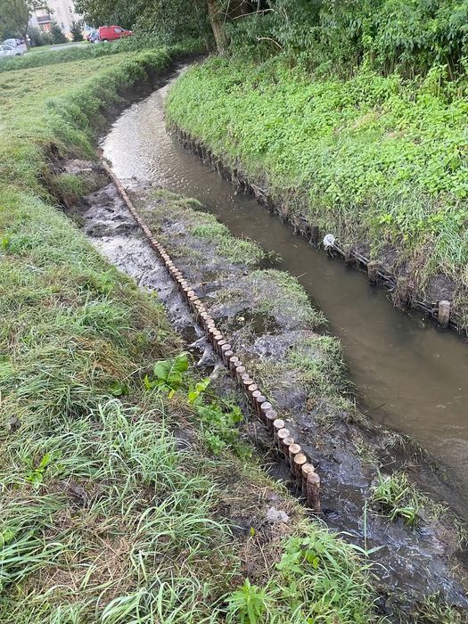 Faszynowanie Stawów / Cieków Wodnych / Palisady / Gambiony