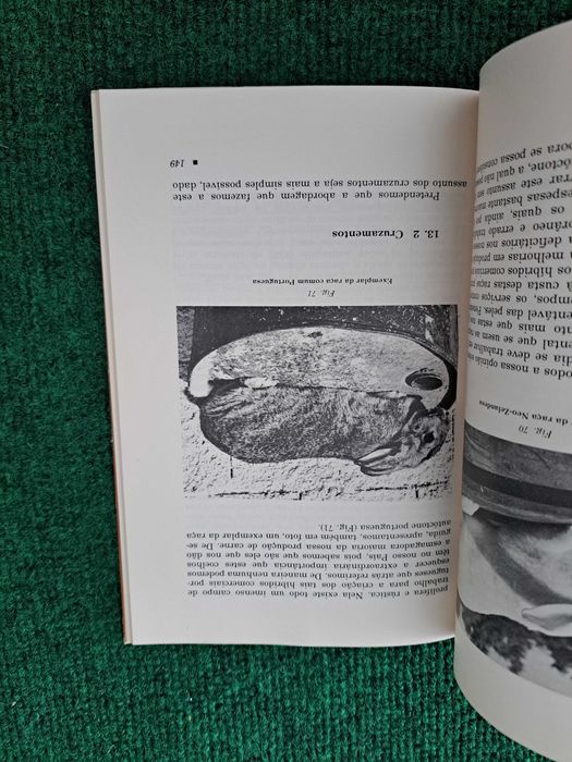 Cunicultura - Aspetos práticos da criação racional de coelhos
