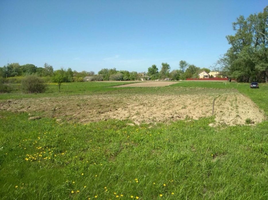 Продам участок, огород, дача Требухов (Переможець), 12 соток, Бровары