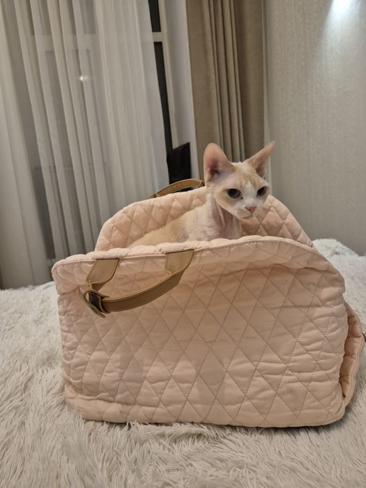 Сумка-переноска для собаки (для авто та подорожей)