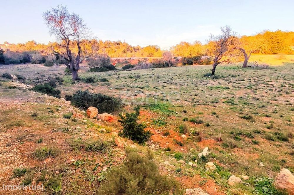 Terreno Rústico – Tunes, Silves | 1.480 m²